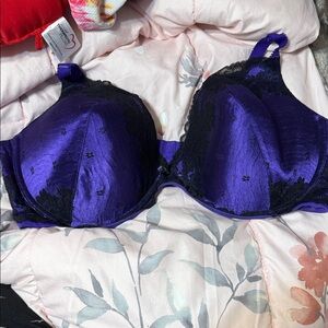 Avenue Deep Purple and Black Lace Bra